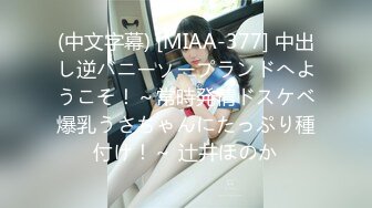 (中文字幕) [MIAA-377] 中出し逆バニーソープランドへようこそ！～常時発情ドスケベ爆乳うさちゃんにたっぷり種付け！～ 辻井ほのか