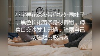 小宝寻花深夜带你找外围妹子，黑色长裙苗条身材御姐，蹲着口交沙发上开操，骑乘自己动翘起屁股后入