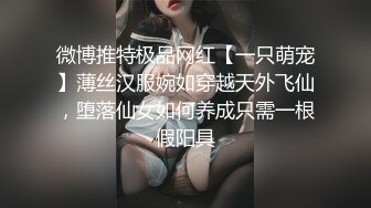 微博推特极品网红【一只萌宠】薄丝汉服婉如穿越天外飞仙，堕落仙女如何养成只需一根假阳具