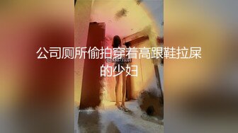 公司厕所偷拍穿着高跟鞋拉屎的少妇