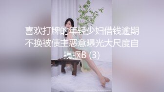 喜欢打牌的年轻少妇借钱逾期不换被债主恶意曝光大尺度自摸抠B (3)