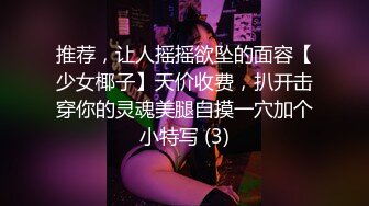 推荐，让人摇摇欲坠的面容【少女椰子】天价收费，扒开击穿你的灵魂美腿自摸一穴加个小特写 (3)